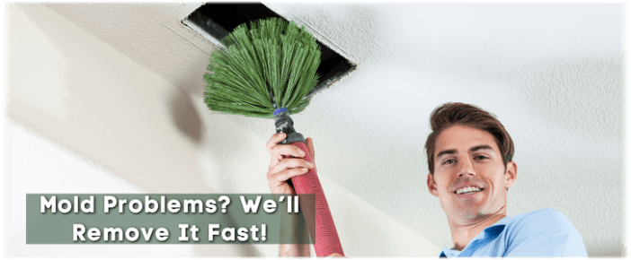 Air Duct Mold Removal in San Francisco