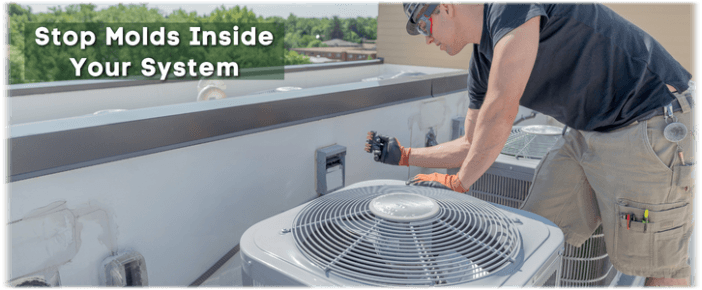 HVAC Mold Removal San Francisco